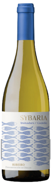 Sybaria 2024