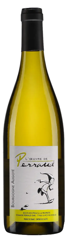 Aligot&eacute;, Bourgogne 2023
