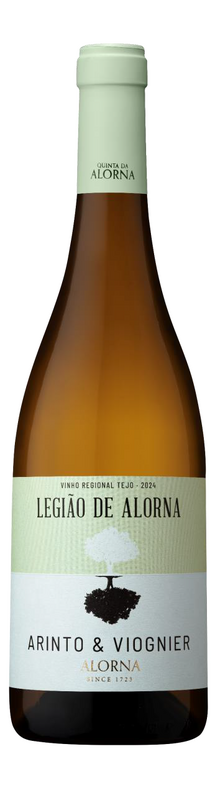 Legi&atilde;o de Alorna Tejo 2024