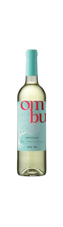 Ombu Branco 2023