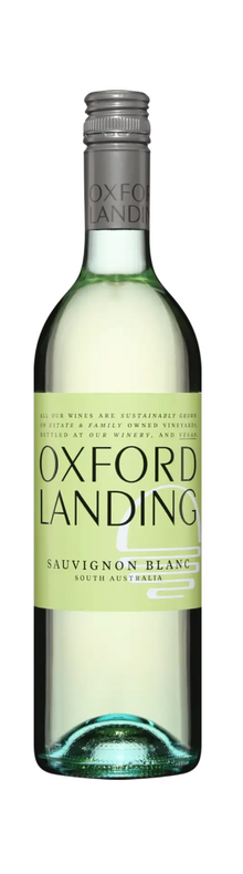 Sauvignon blanc 2023