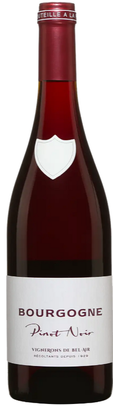 Bourgogne Pinot Noir 2021